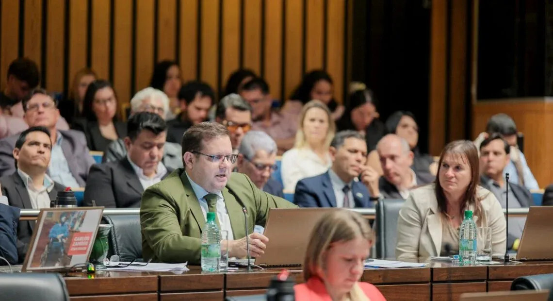 Cristian Castro, diputado provincial del PAyS