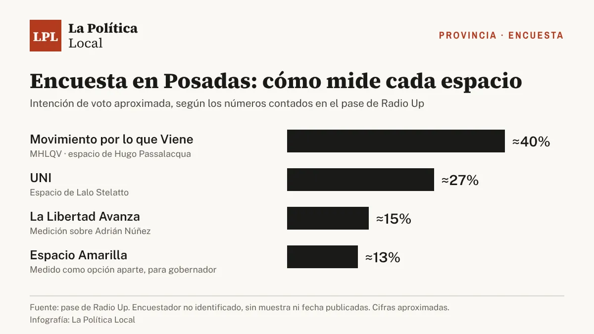 Infografía: La Política Local