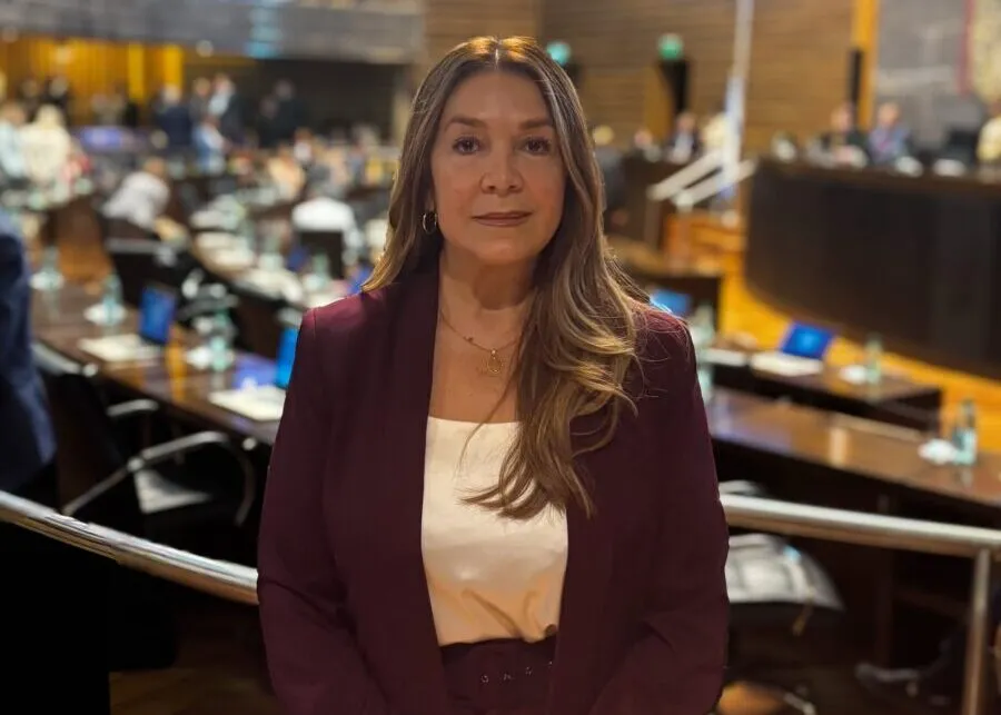 Nelly Guerrero, diputada provincial de Misiones, según Misiones Opina